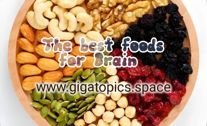 The Best Food For Brain